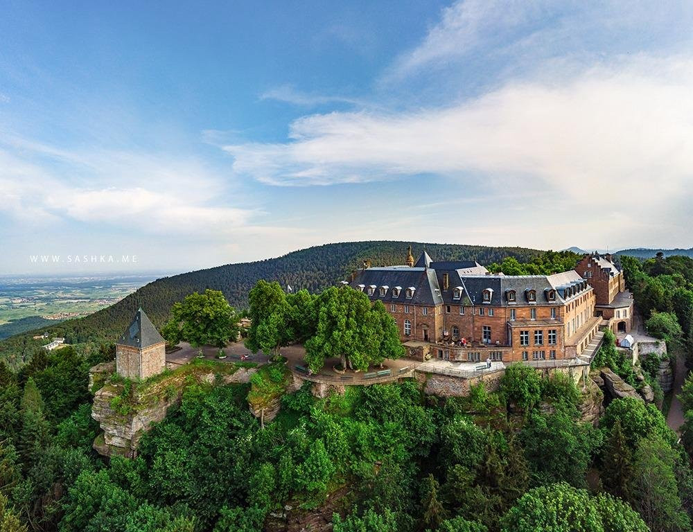 Black Forest Travel景点图片