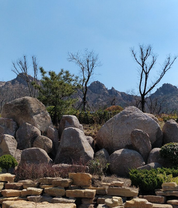 青岛浮山公园景点图片