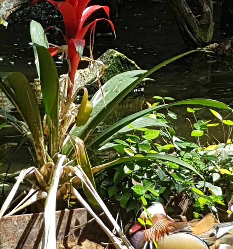 Amarillo Botanical Gardens-阿马里洛必去景点