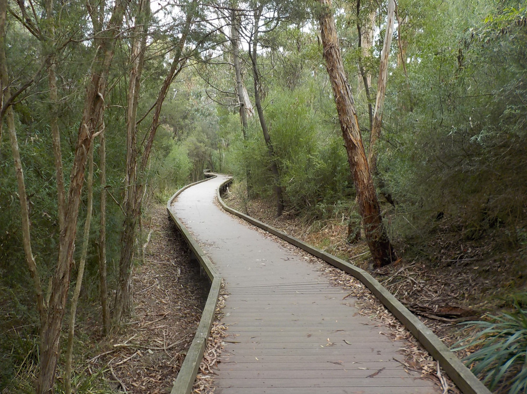 Bellbird dell景点图片