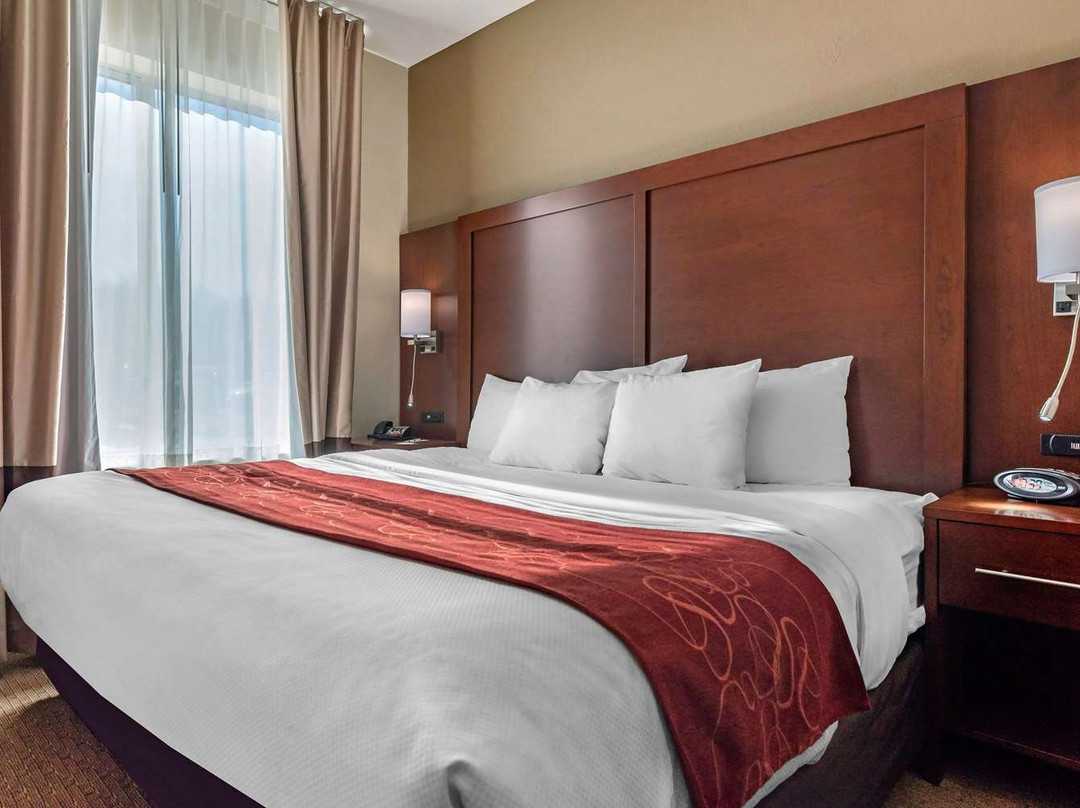 辛辛那提机场康福特套房酒店主图