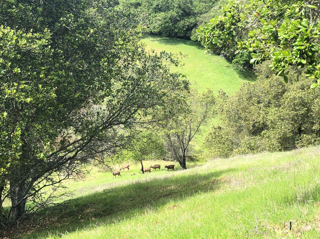 Edgewood Park Natural Preserve-雷德伍德城必去景点