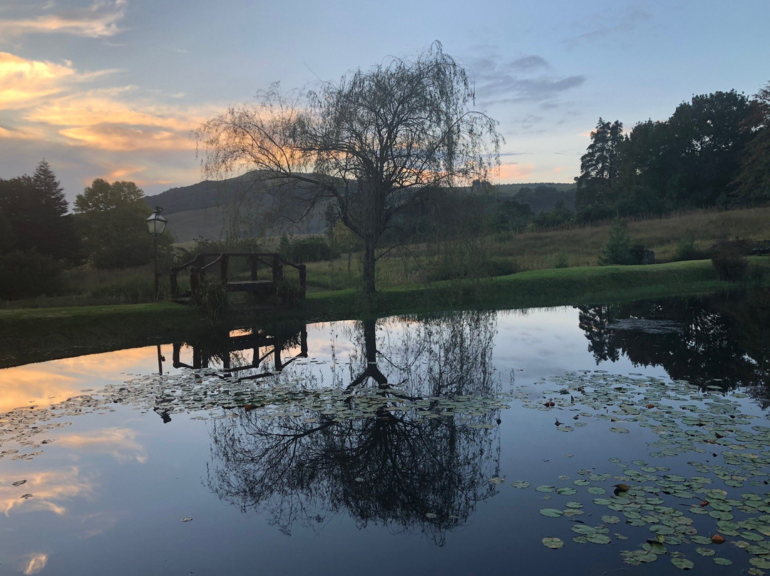 Twin Pools Lodge Bed & Breakfast主图