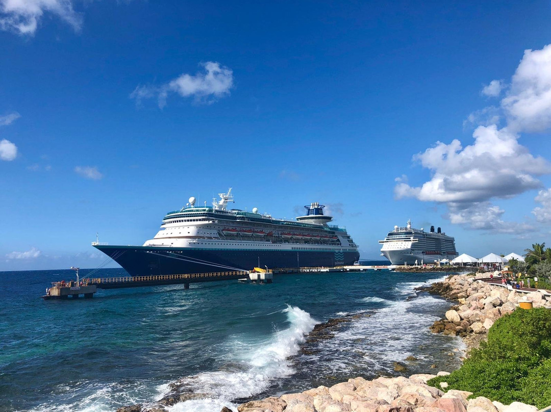 DCTA Taxi & Tour Services-威廉斯塔德必去景点