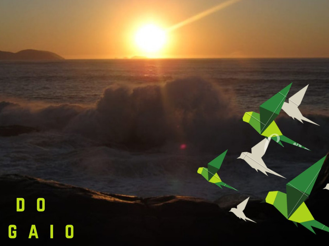 Pousada Ilha do Papagaio主图