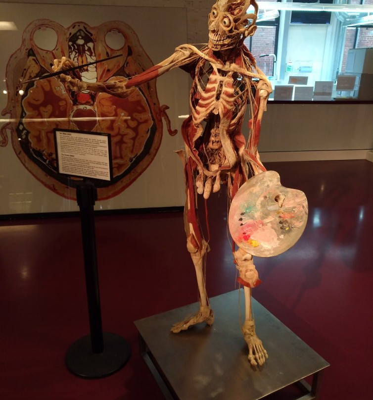 Plastinarium景点图片