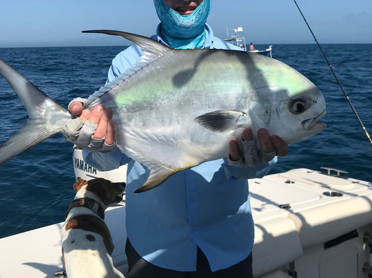 Hawgwild Fishing Charters-迈尔斯堡海滩必去景点
