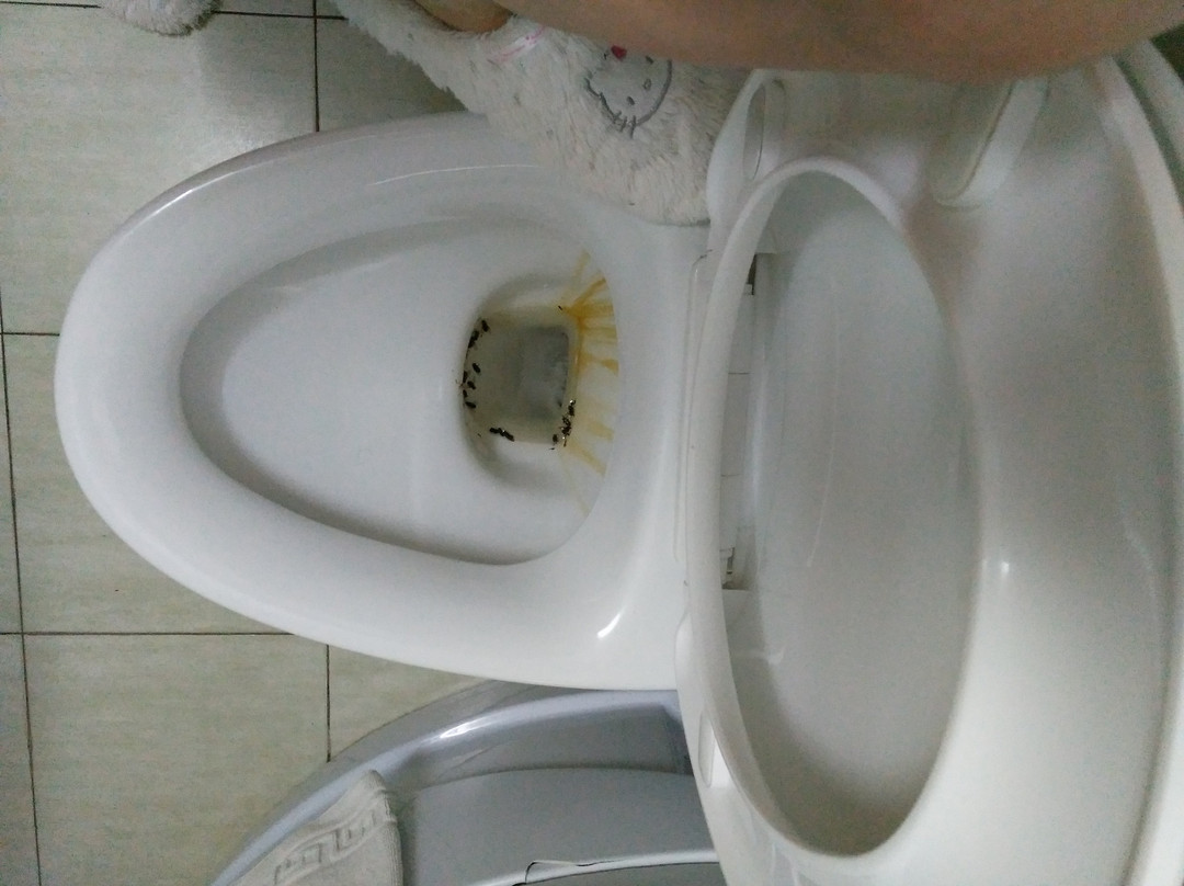 Kirovs'ke旅游攻略图片