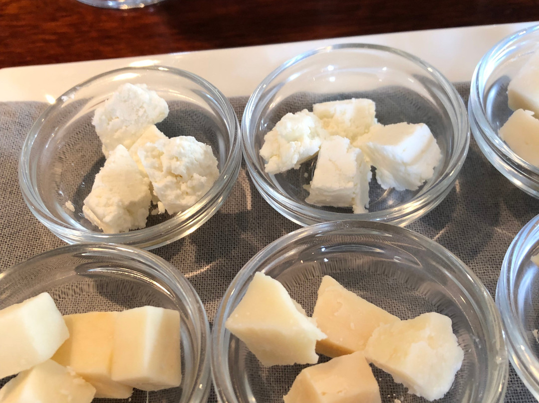 Nederburg Wines-帕尔必去景点