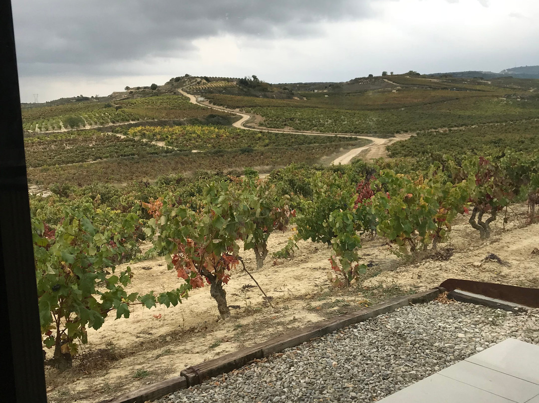 Fine Wine Tours-马扎梅必去景点