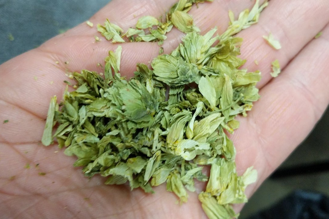 Manchester Brewery Tours-曼彻斯特必去景点