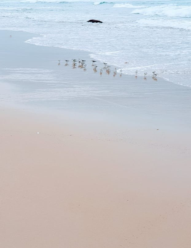 Mabibi Beach景点图片