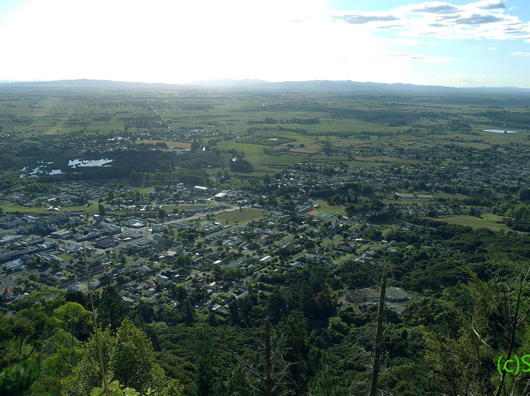 Mount Te Aroha景点图片