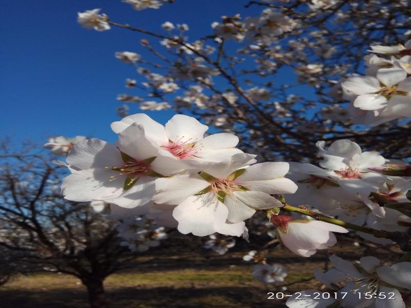 Ji- tours-耶路撒冷必去景点