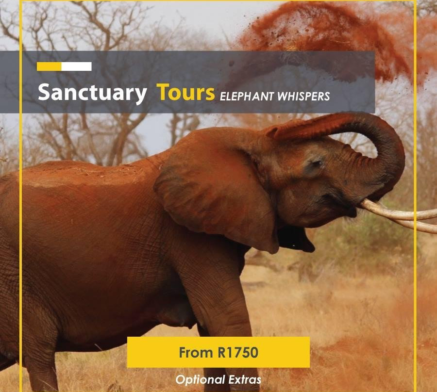 Safari Link Southern Africa景点图片
