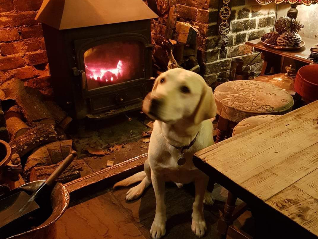 The Oak Inn Staplow主图
