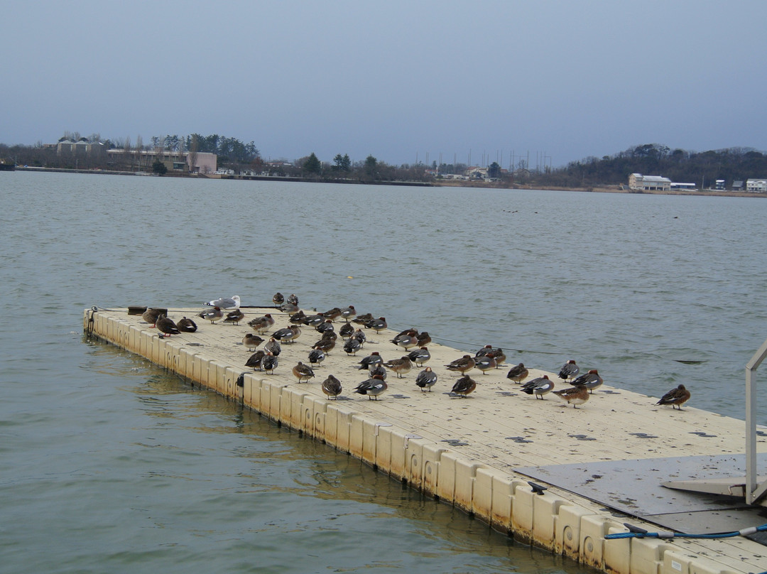 Ukimido-加贺市必去景点