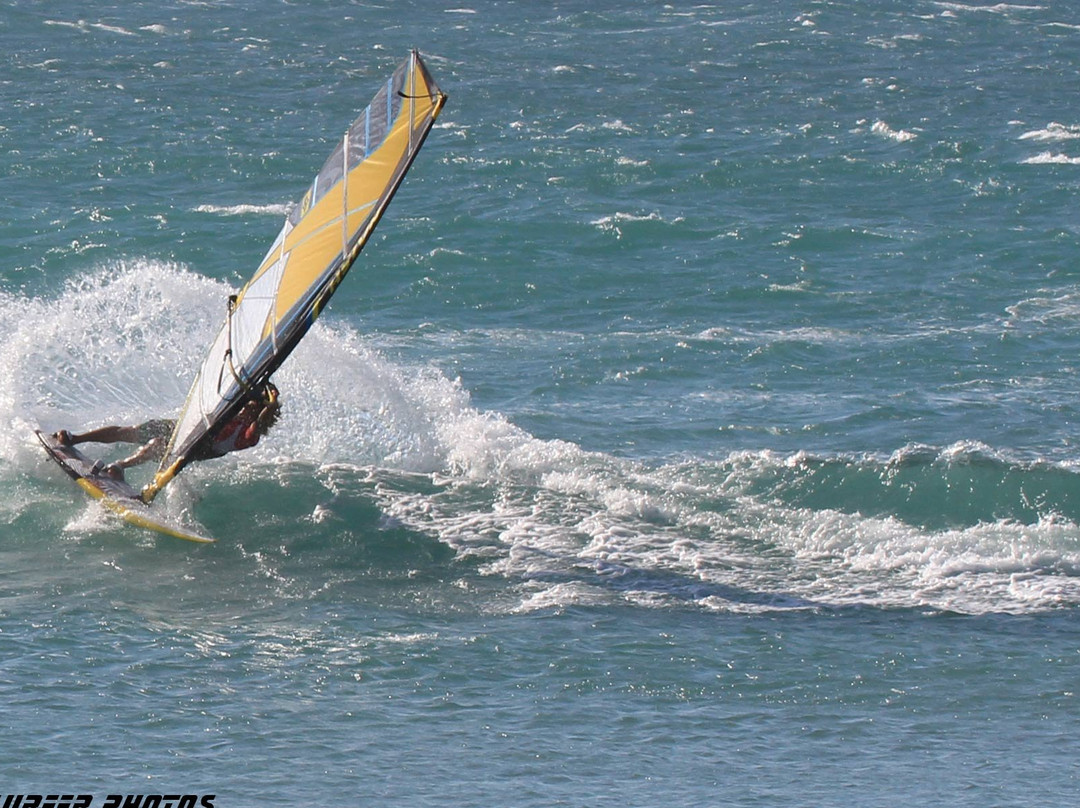 Bob Wind School-杰里科科拉必去景点