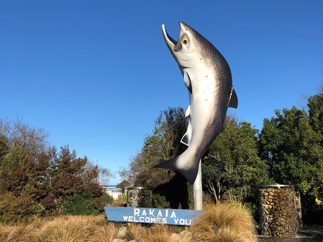 Rakaia Salmon Statue景点图片