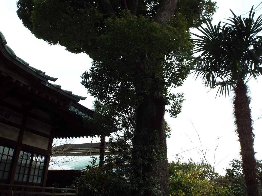 Honko-ji Temple景点图片