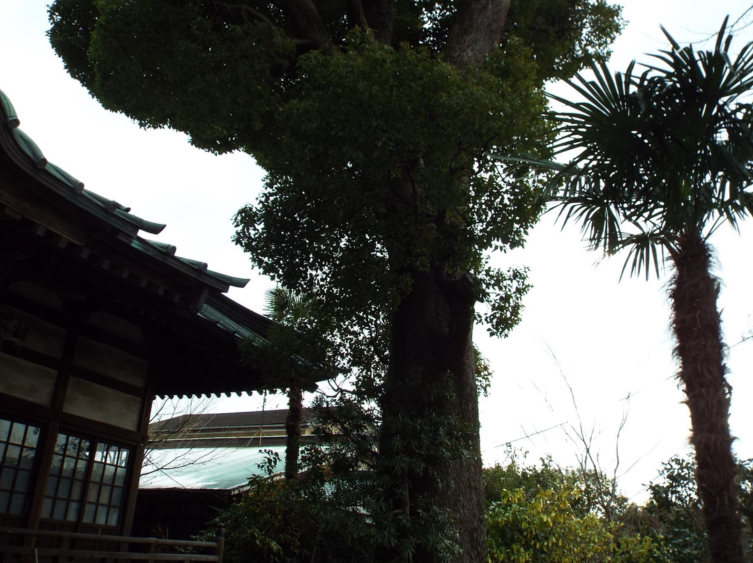 Honko-ji Temple-小田原市必去景点