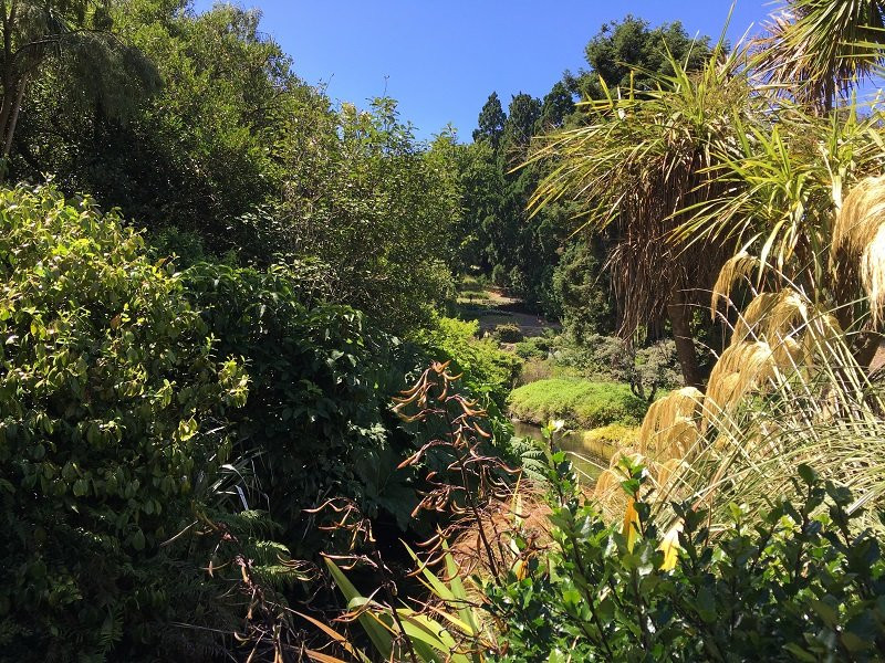 达尼丁植物园景点图片