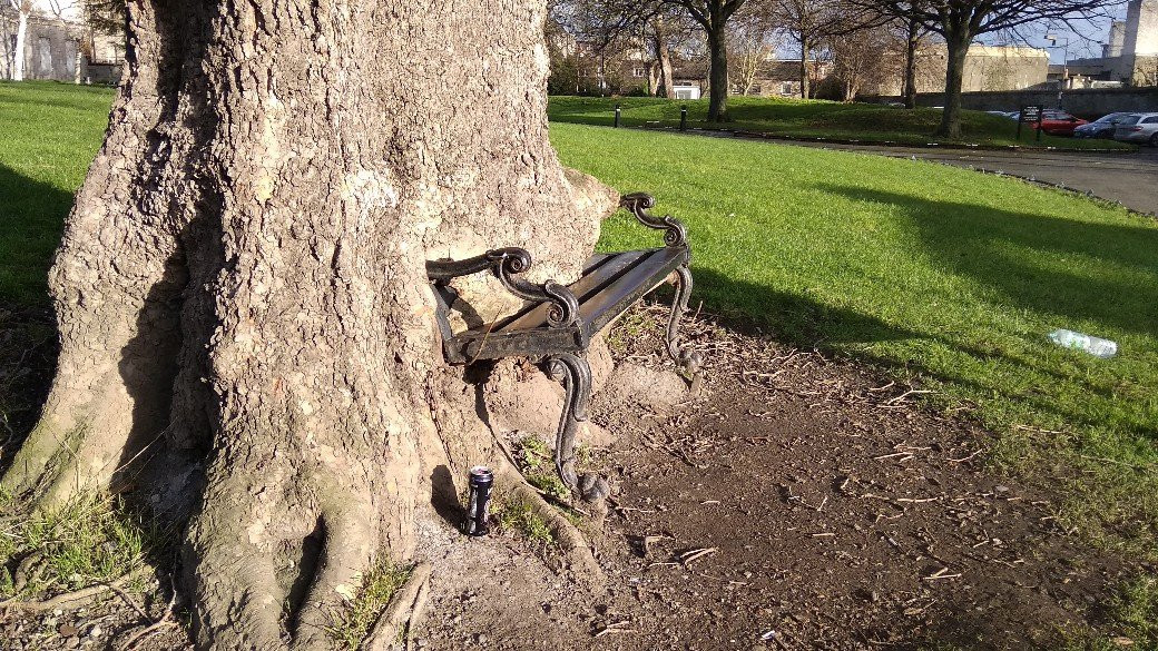 The Hungry Tree-都柏林必去景点
