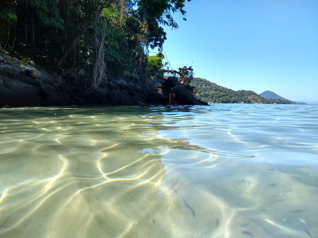 Ilha dos Macacos Beach景点图片