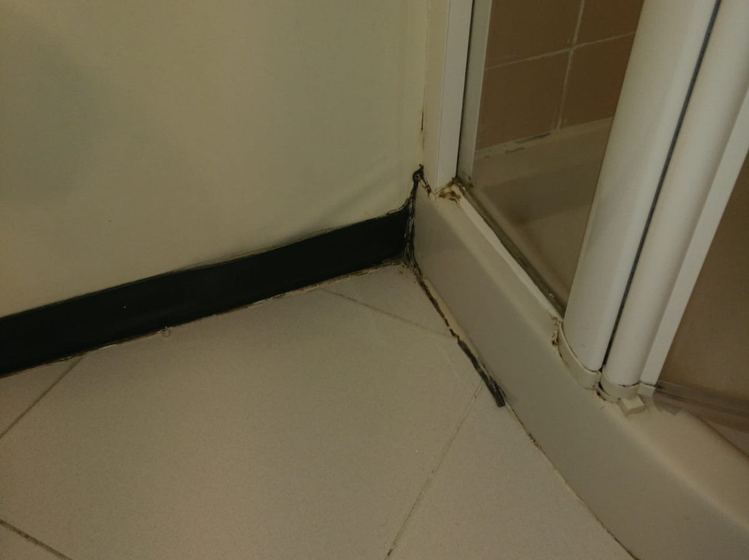 Hotel Iris Guadalajara主图