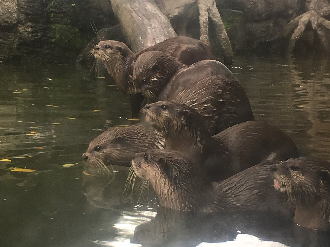Dai Nam Hotel Binh Duong主图
