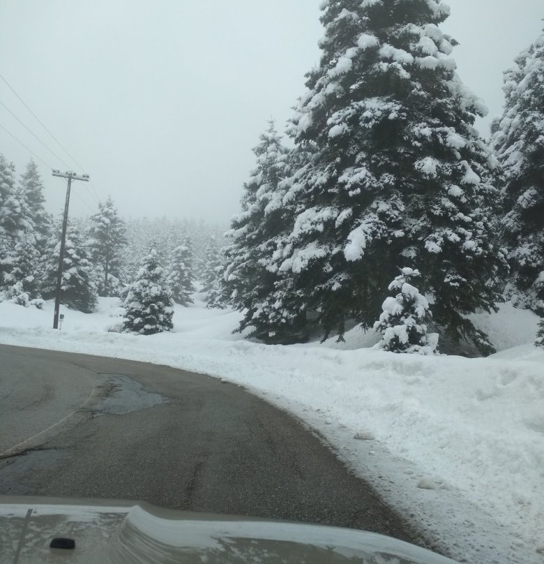 Melampous Hotel主图