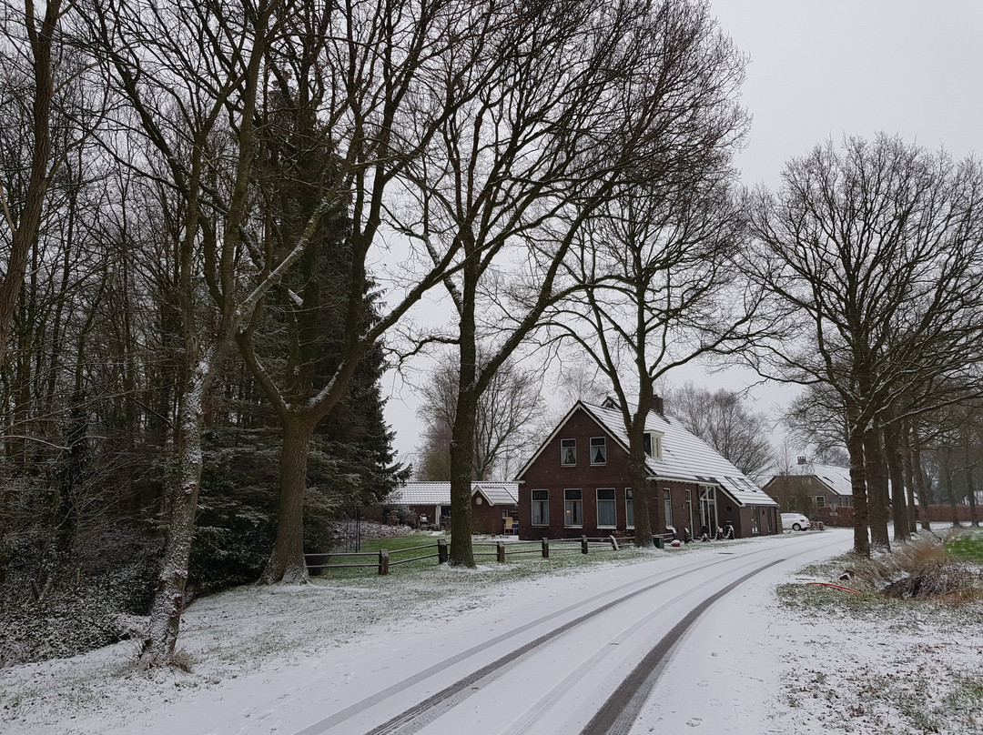 Het Vossehol