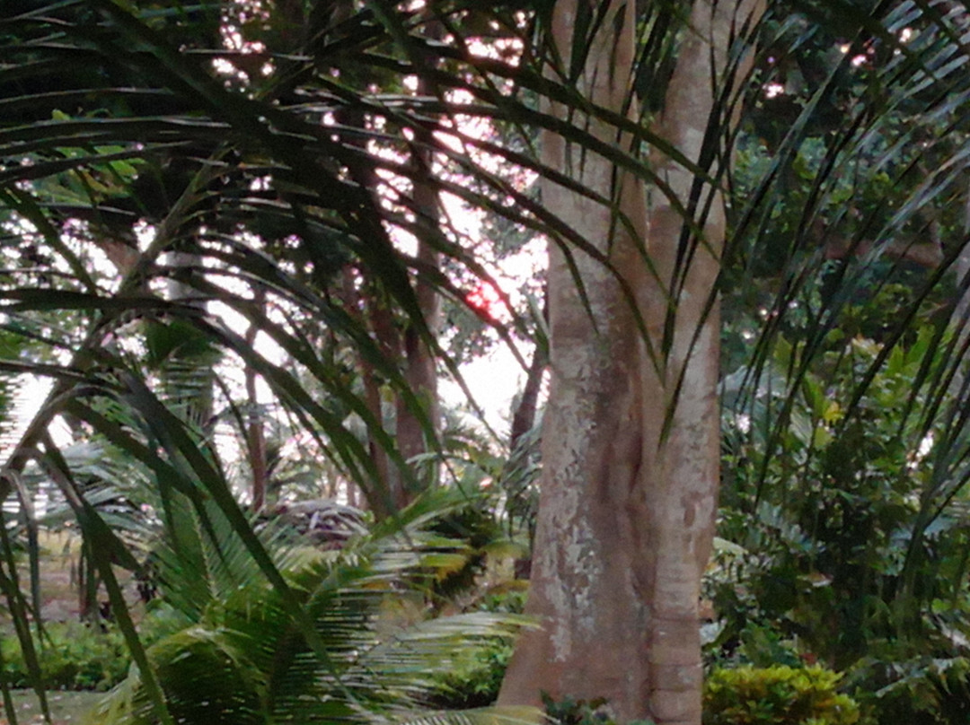 Dolphin Resort主图