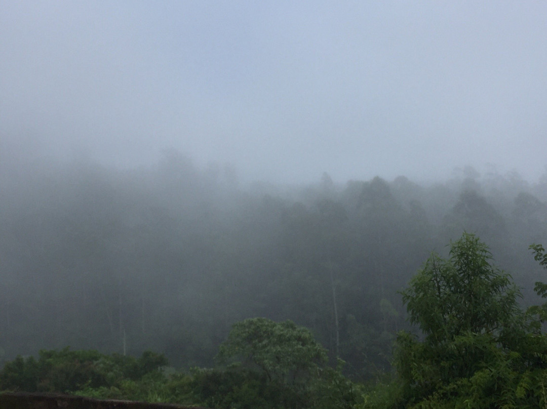 Fazenda Sao Luiz主图