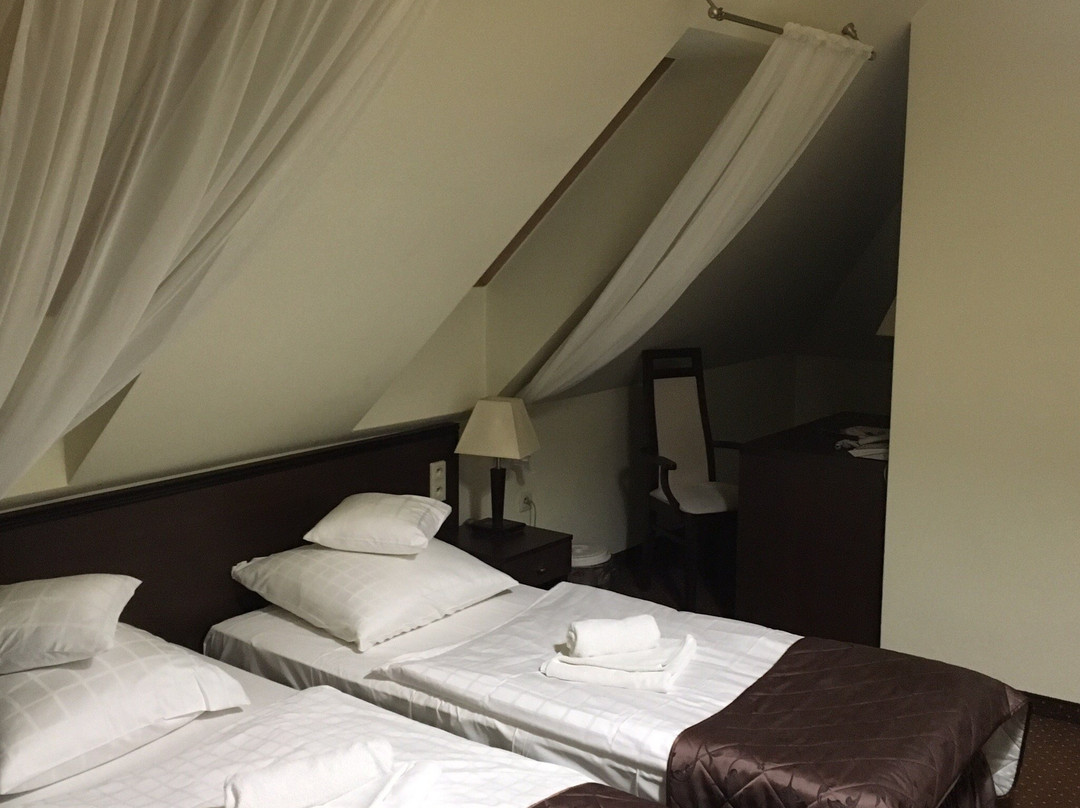 Hotel Pod Filarami主图