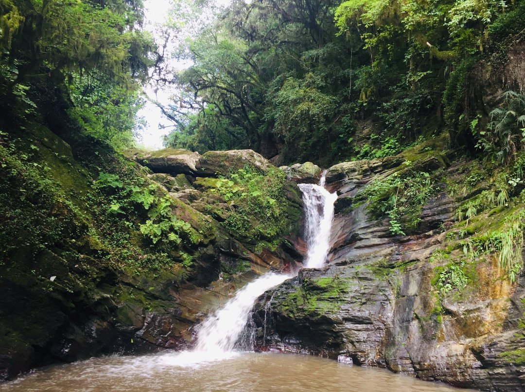 La Cascada del Rio Noque景点图片