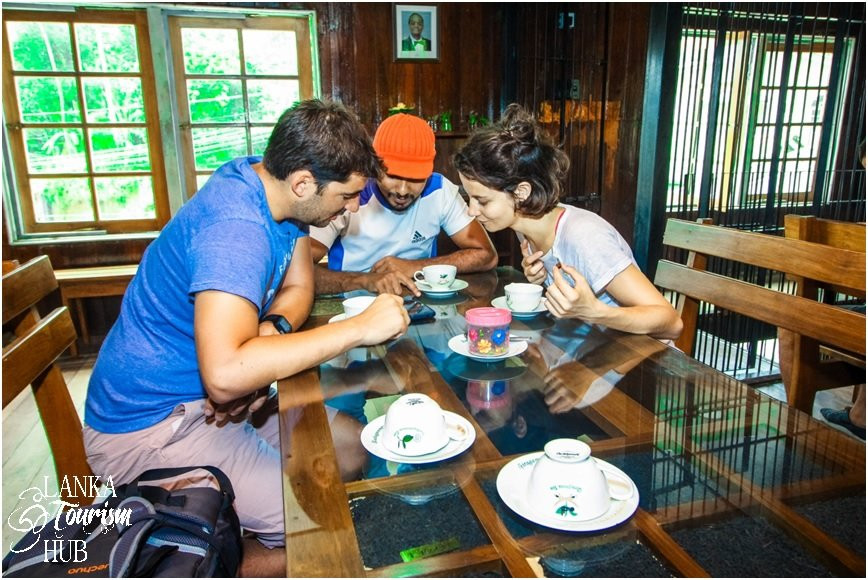 Sri Lanka Tourism Hub景点图片
