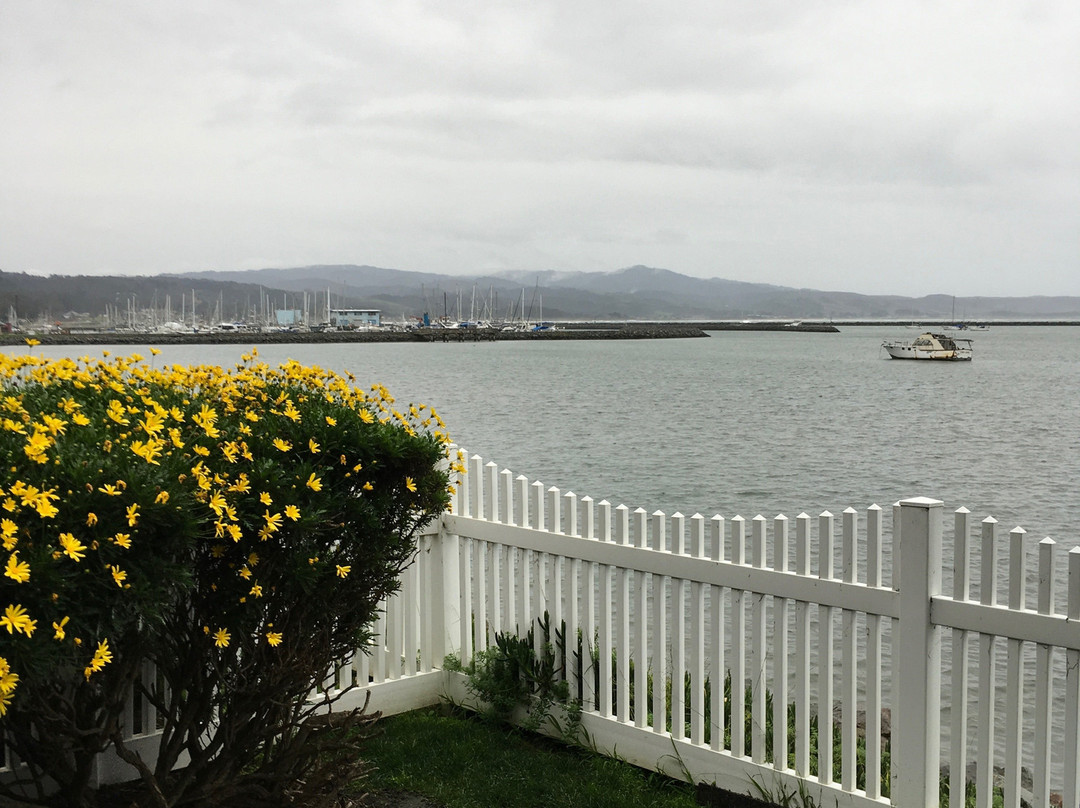 The Inn at Mavericks主图