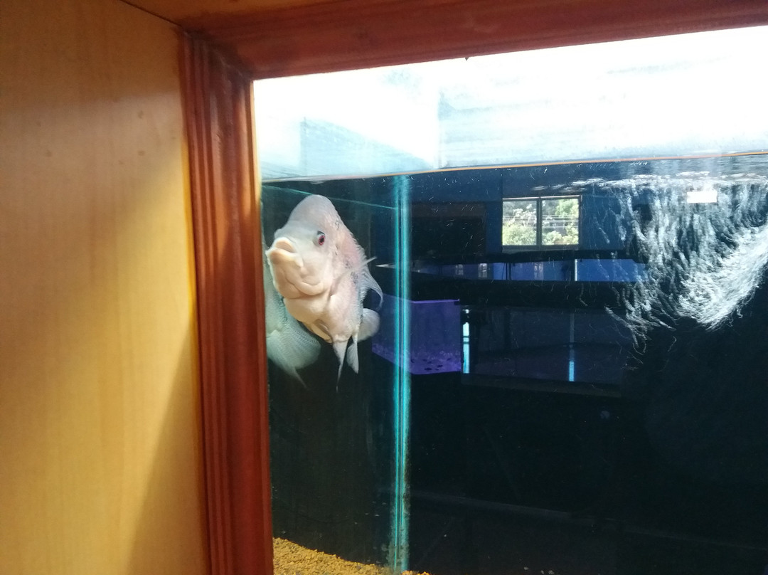 Karwar Aquarium-Karwar必去景点