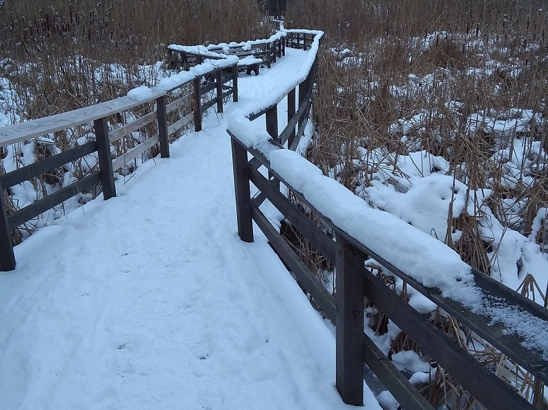 Tinker Nature Park-Henrietta必去景点