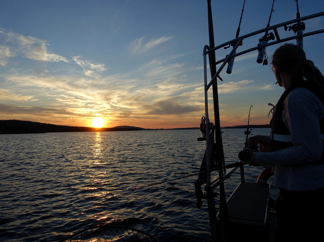 Lapland Wild Fish-Pello必去景点