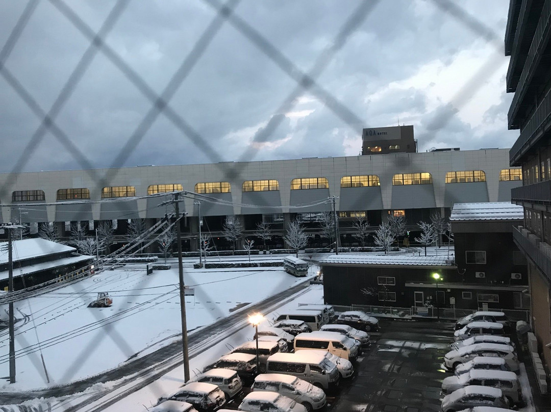 Hotel New Green Tsubamesanjo主图