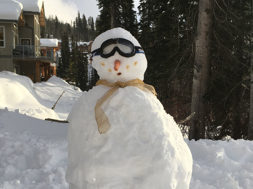 Three Bears Chalet主图