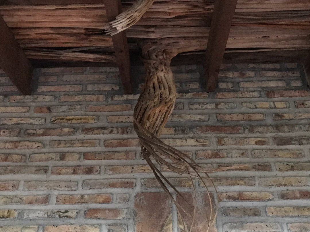 Crickethead Inn Bed and Breakfast主图