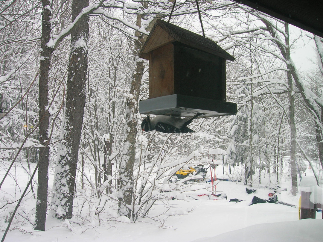 Valley Spur-缪尼辛必去景点