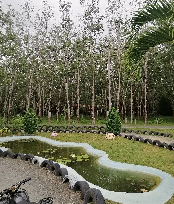 Road Runner Buggy and ATV Adventure Phuket-他朗必去景点