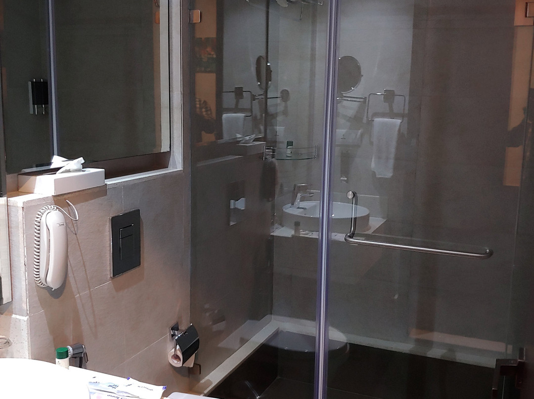 Lemon Tree Hotel, Hubli主图