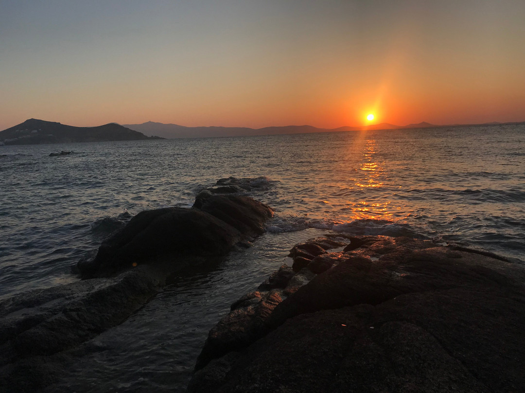 尼萨基海滩酒店主图