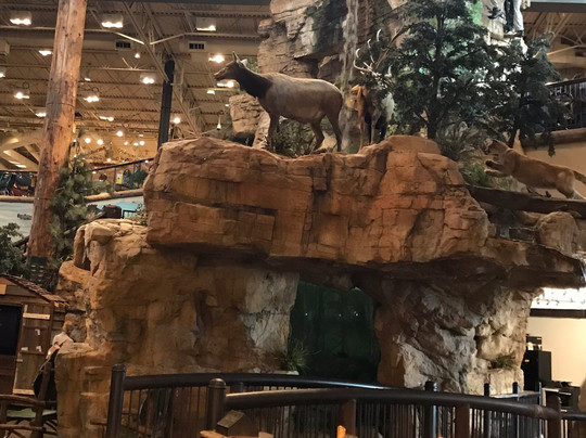 Bass Pro Shops-Broken Arrow必去景点