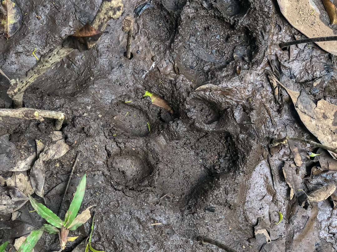 Periyar Tiger Reserve-帖可迪必去景点